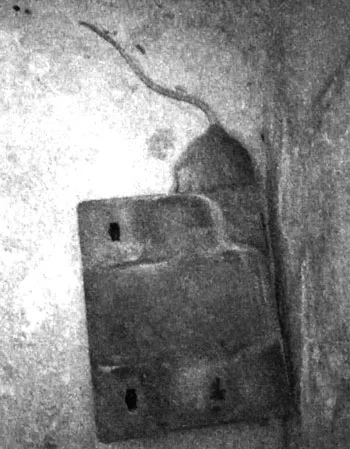 Control y prevención de roedores