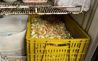 Cierran restaurante en Bucaramanga donde hallaron insectos en la cocina