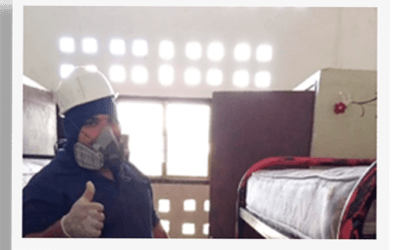 Cómo Evitar las Chinches de Cama en tus Viajes