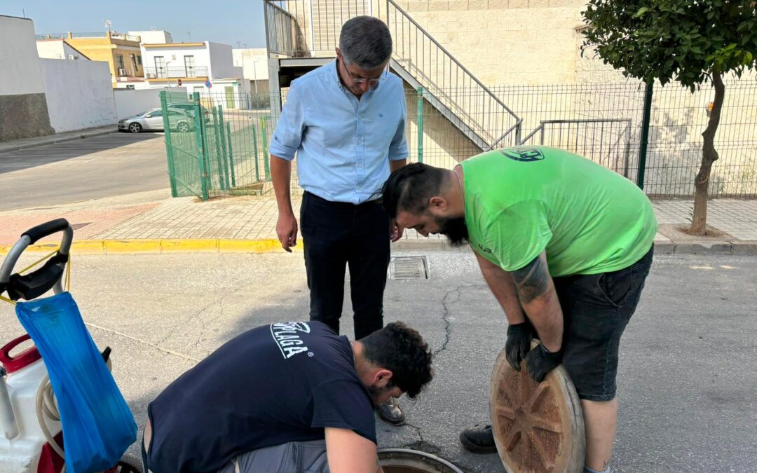 Tratamiento de choque contra plagas en la red de alcantarillado