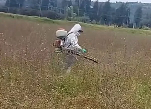 Fumigacion agricola Fumigacion agricola