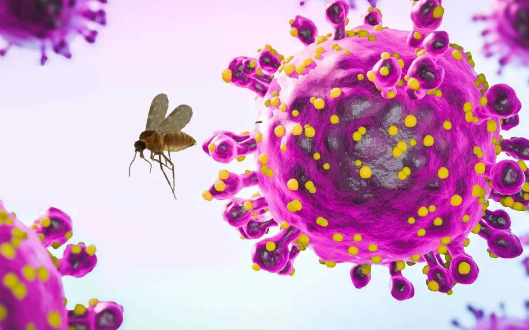 Virus de Oropuche