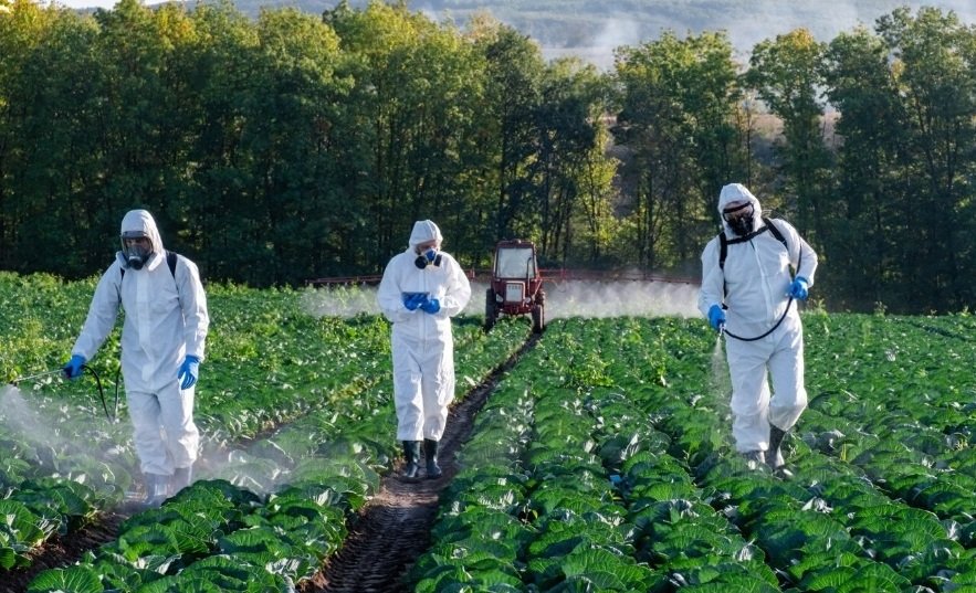 fumigacion agricola Fumigación Agricola